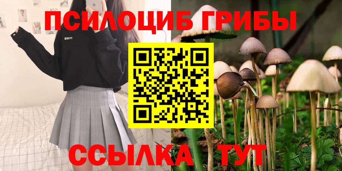 Псилоцибиновые грибы мицелий Кулебаки