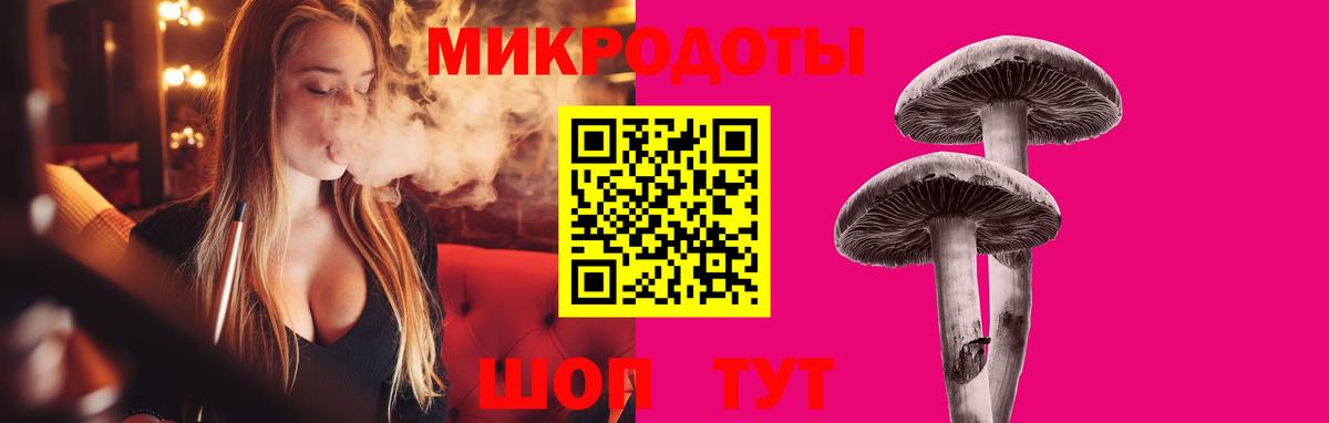 Галлюциногенные грибы мухоморы  Вход с VPN  Кулебаки 